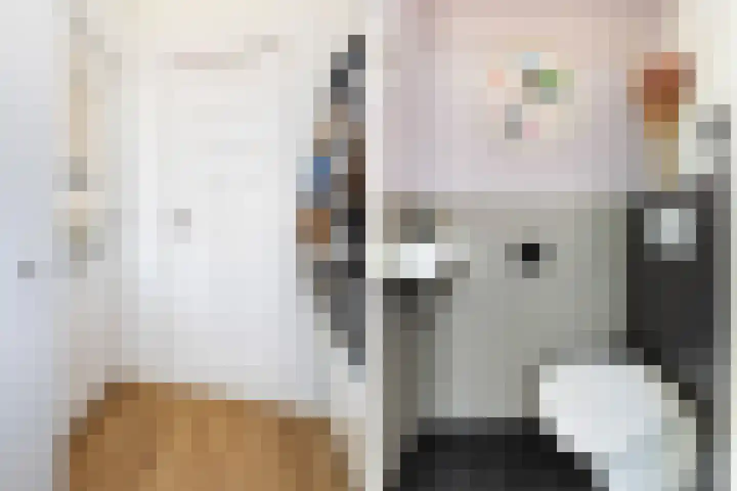 1e Honthorststraat 16 Woerden thumbnail 5