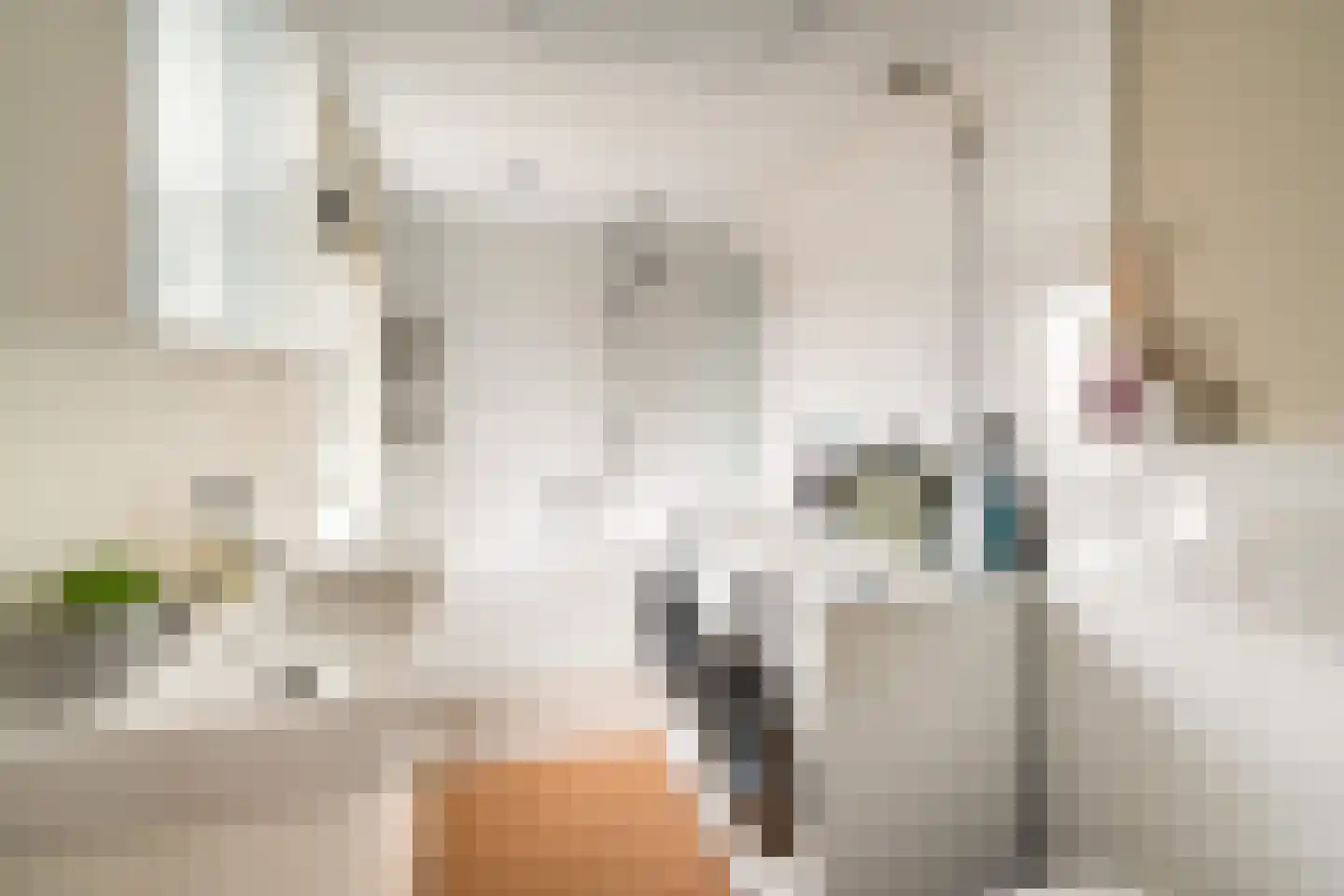 1e Honthorststraat 8 Woerden thumbnail 13