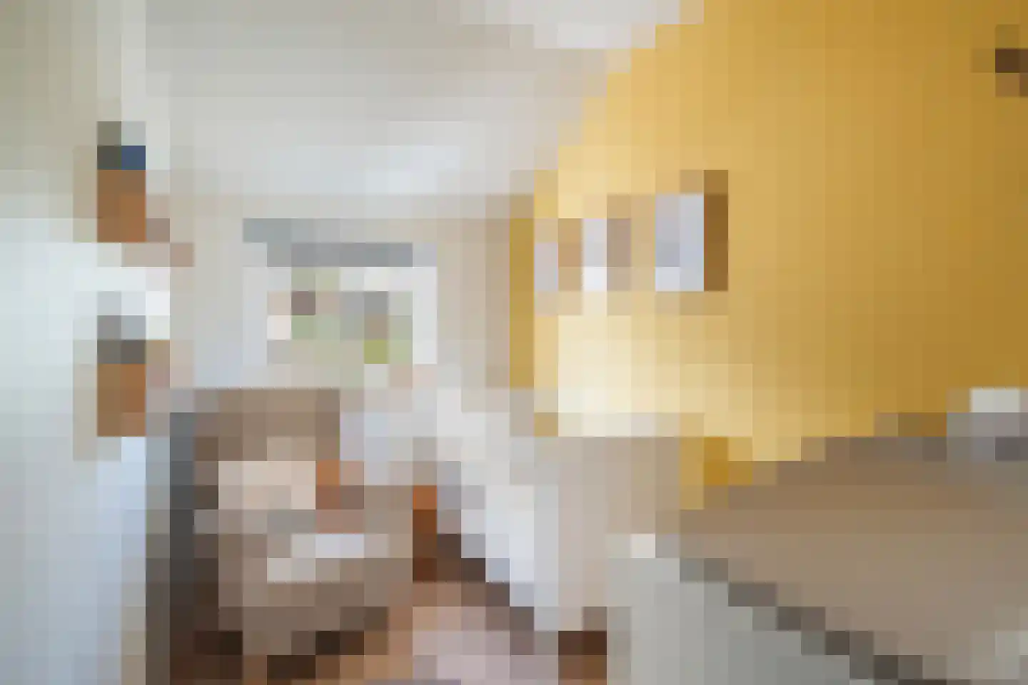 1e Honthorststraat 8 Woerden thumbnail 20