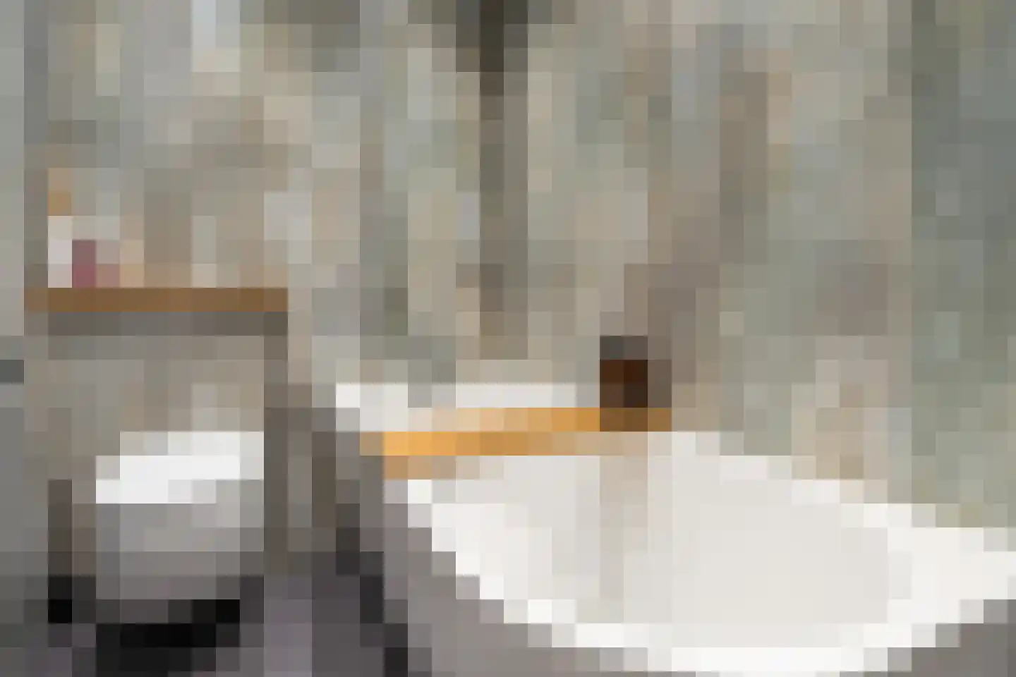 1e Honthorststraat 8 Woerden thumbnail 25