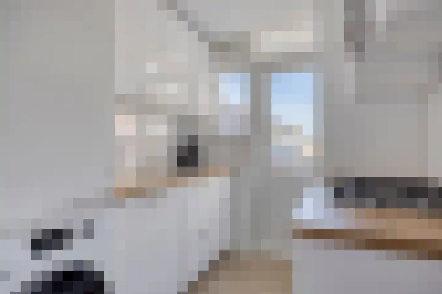 1e IJzerstraat 7 B 01 Rotterdam thumbnail 8
