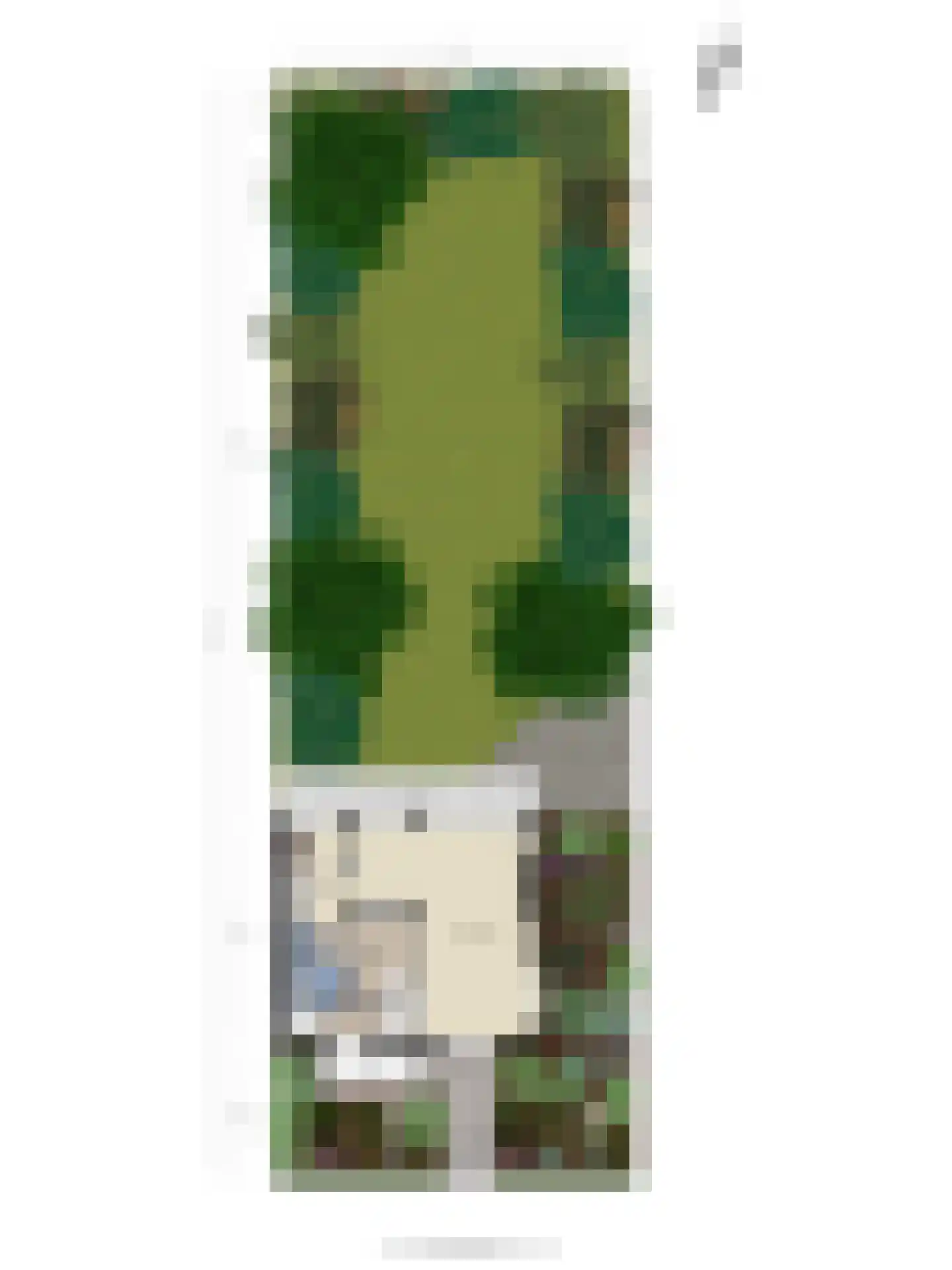 1e J.C. Mensinglaan 10 Aalsmeer thumbnail 23
