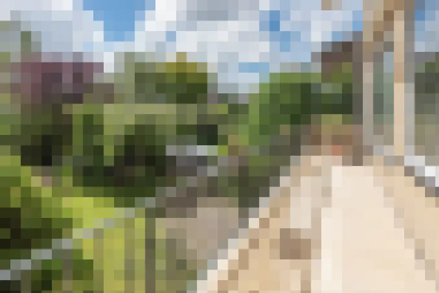 1e J.C. Mensinglaan 10 Aalsmeer thumbnail 7