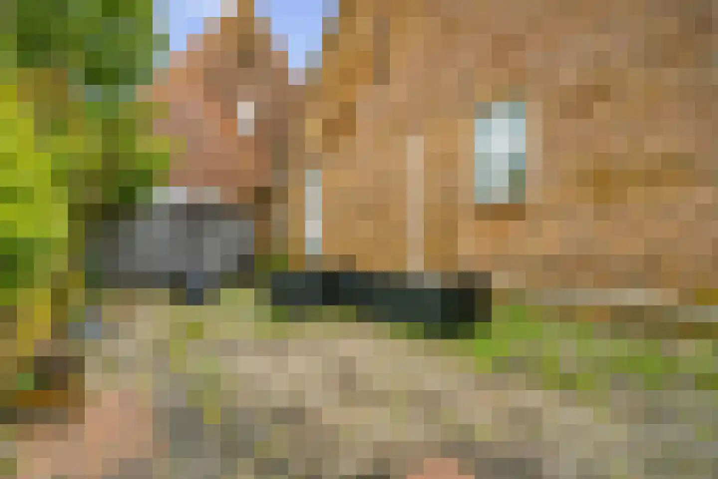 1e J.C. Mensinglaan 29 c Aalsmeer thumbnail 20