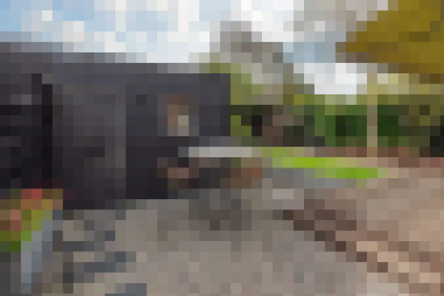 1e J.C. Mensinglaan 36 Aalsmeer thumbnail 10