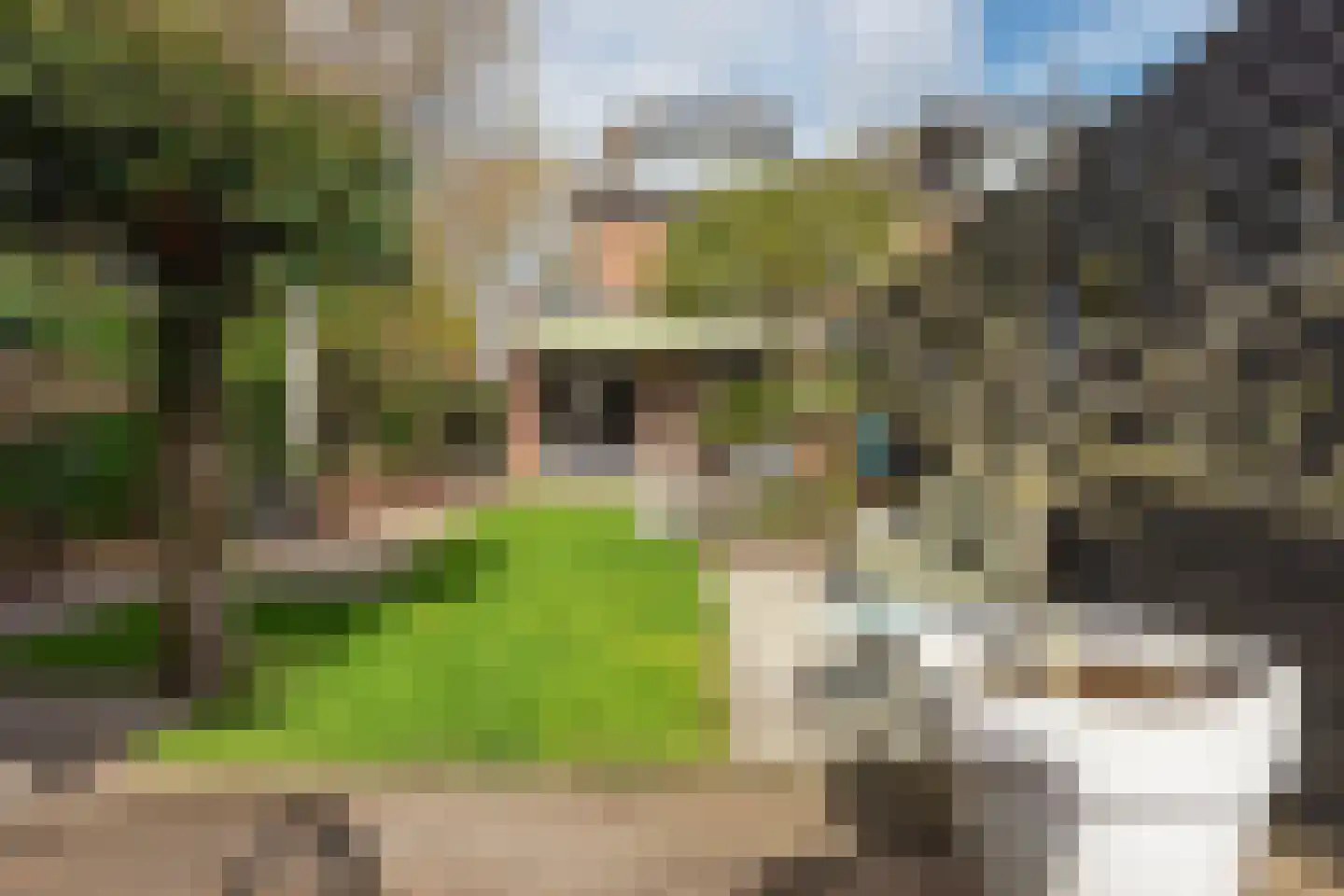 1e J.C. Mensinglaan 36 Aalsmeer thumbnail 11