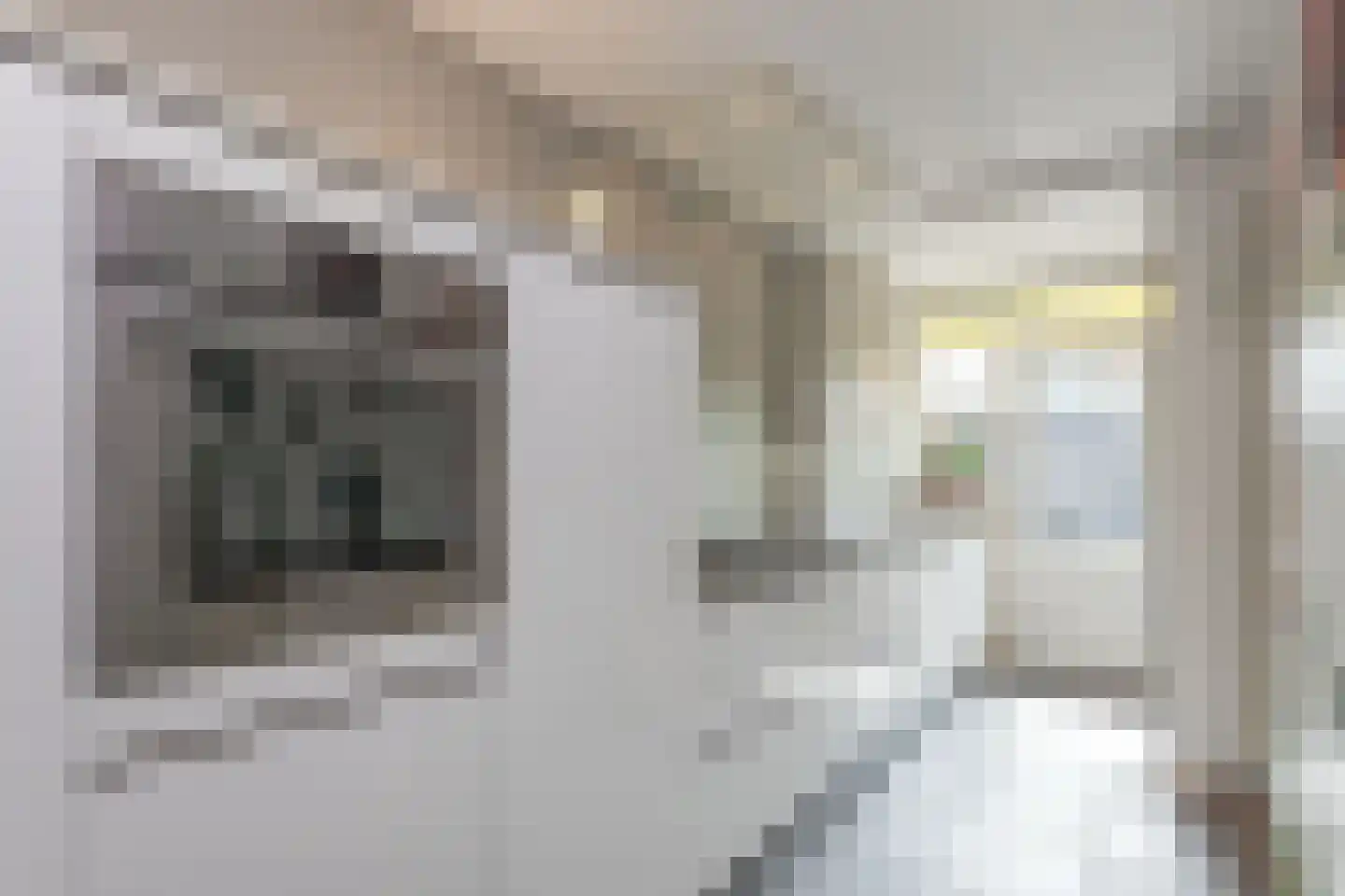 1e J.C. Mensinglaan 36 Aalsmeer thumbnail 17