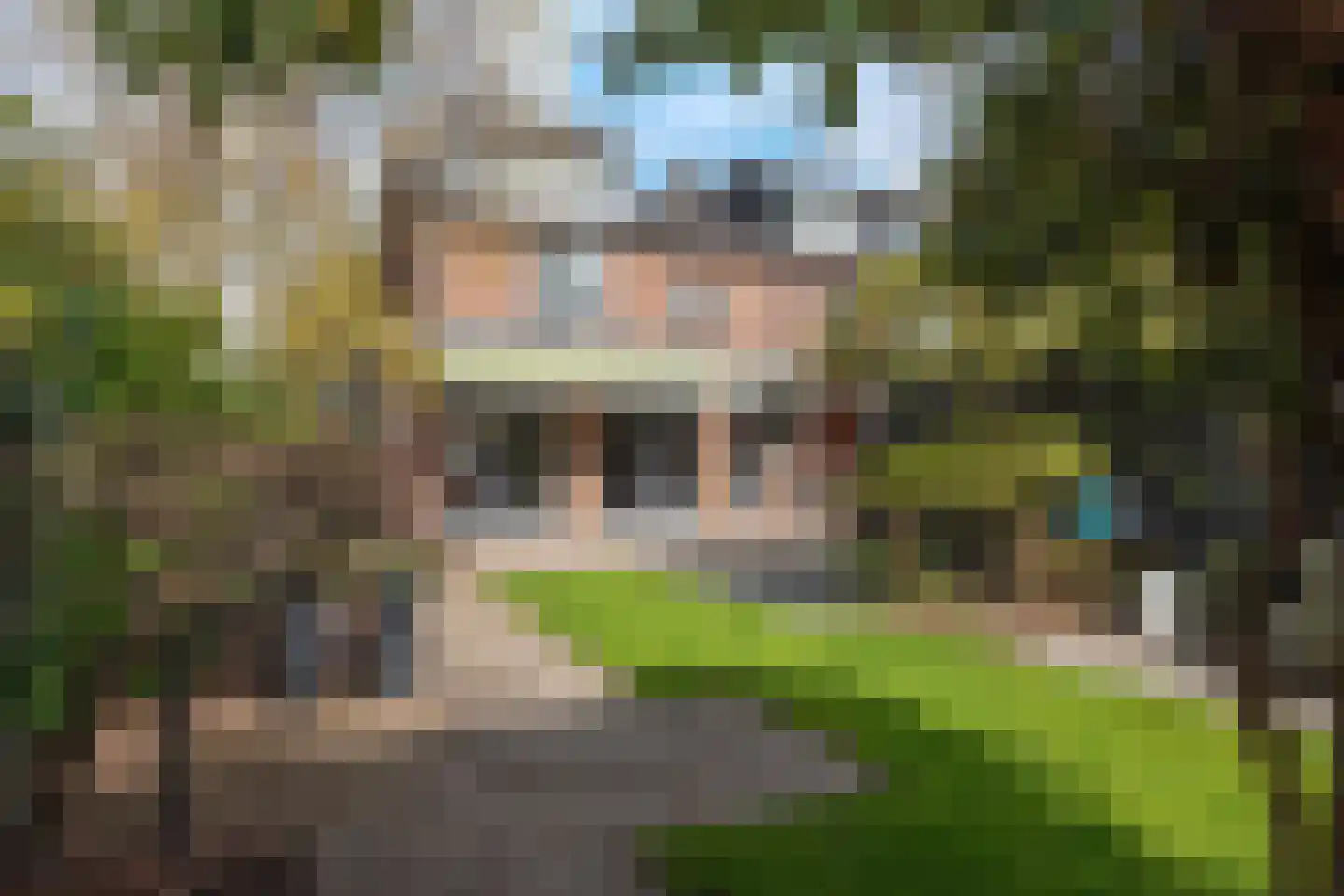 1e J.C. Mensinglaan 36 Aalsmeer thumbnail 6