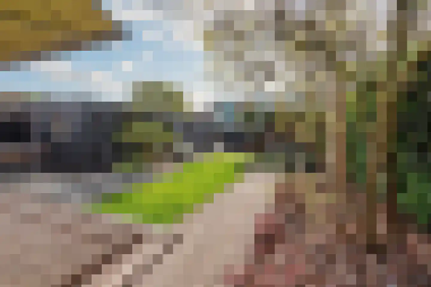 1e J.C. Mensinglaan 36 Aalsmeer thumbnail 7
