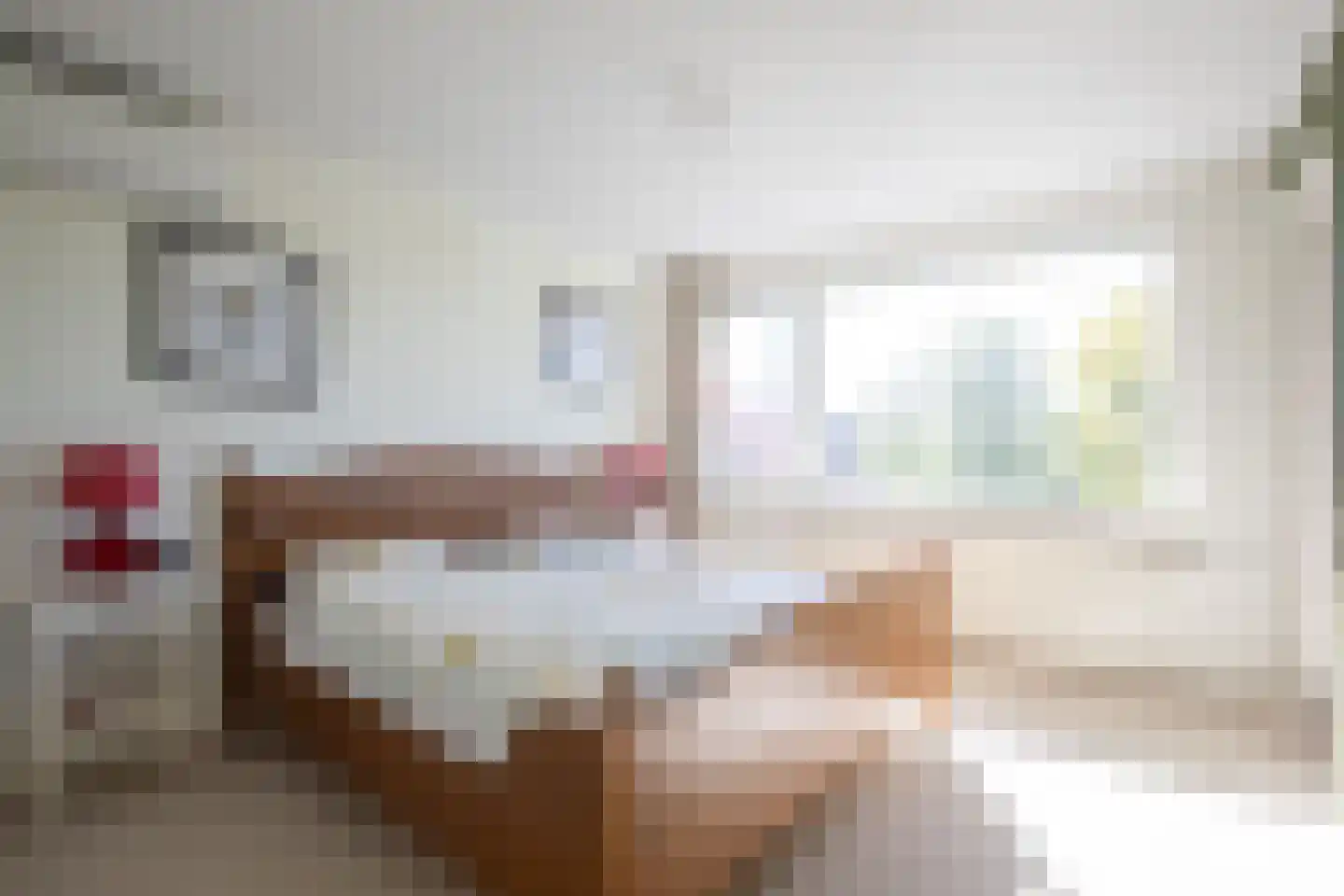 1e J.C. Mensinglaan 8 Aalsmeer thumbnail 19