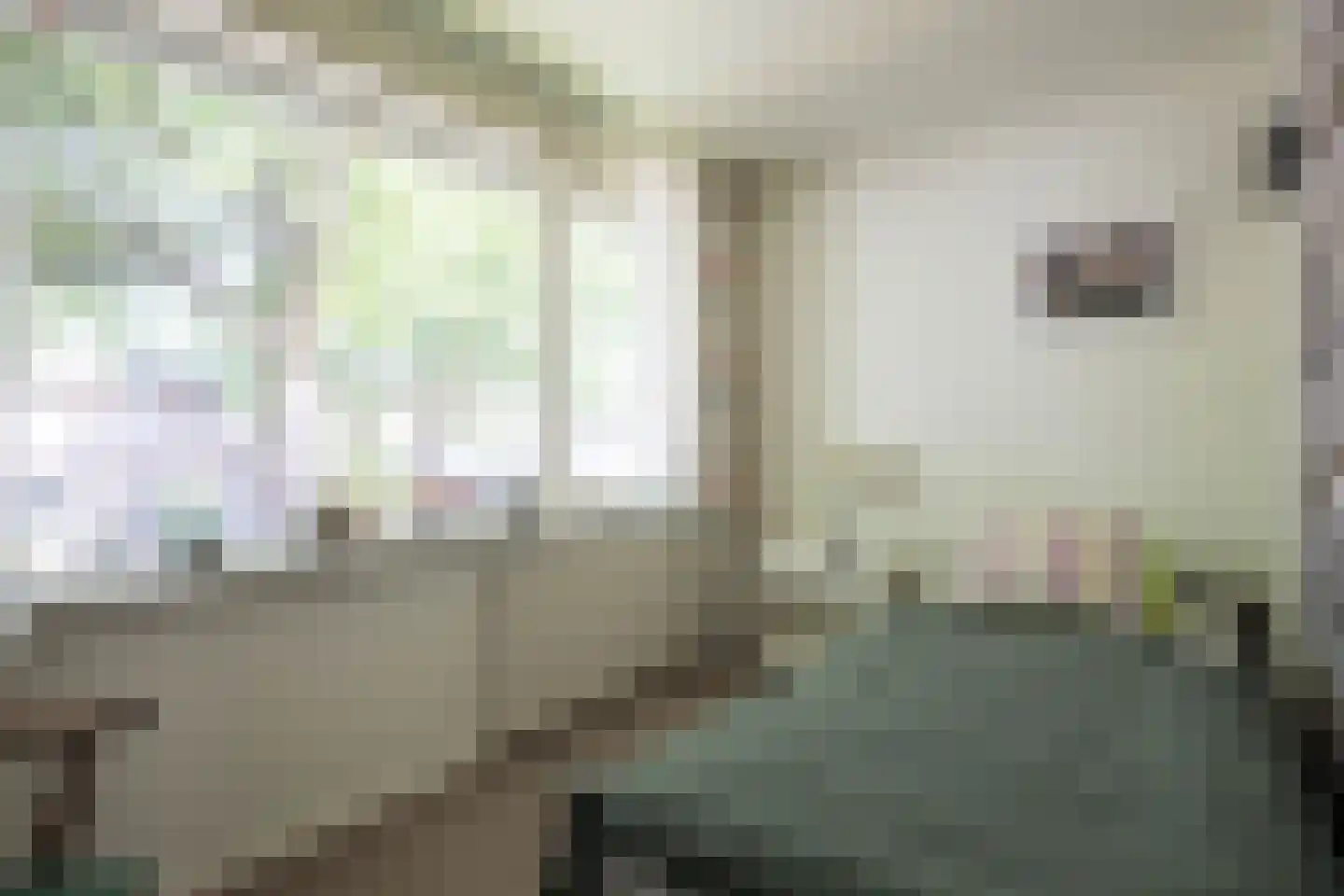 1e J.C. Mensinglaan 8 Aalsmeer thumbnail 24