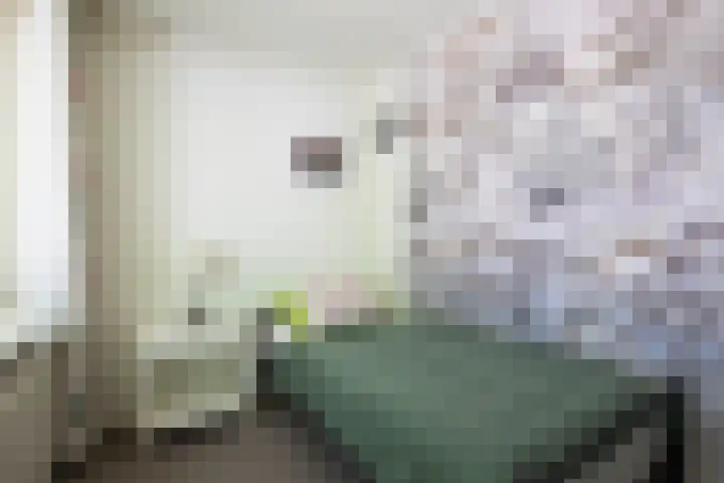 1e J.C. Mensinglaan 8 Aalsmeer thumbnail 25