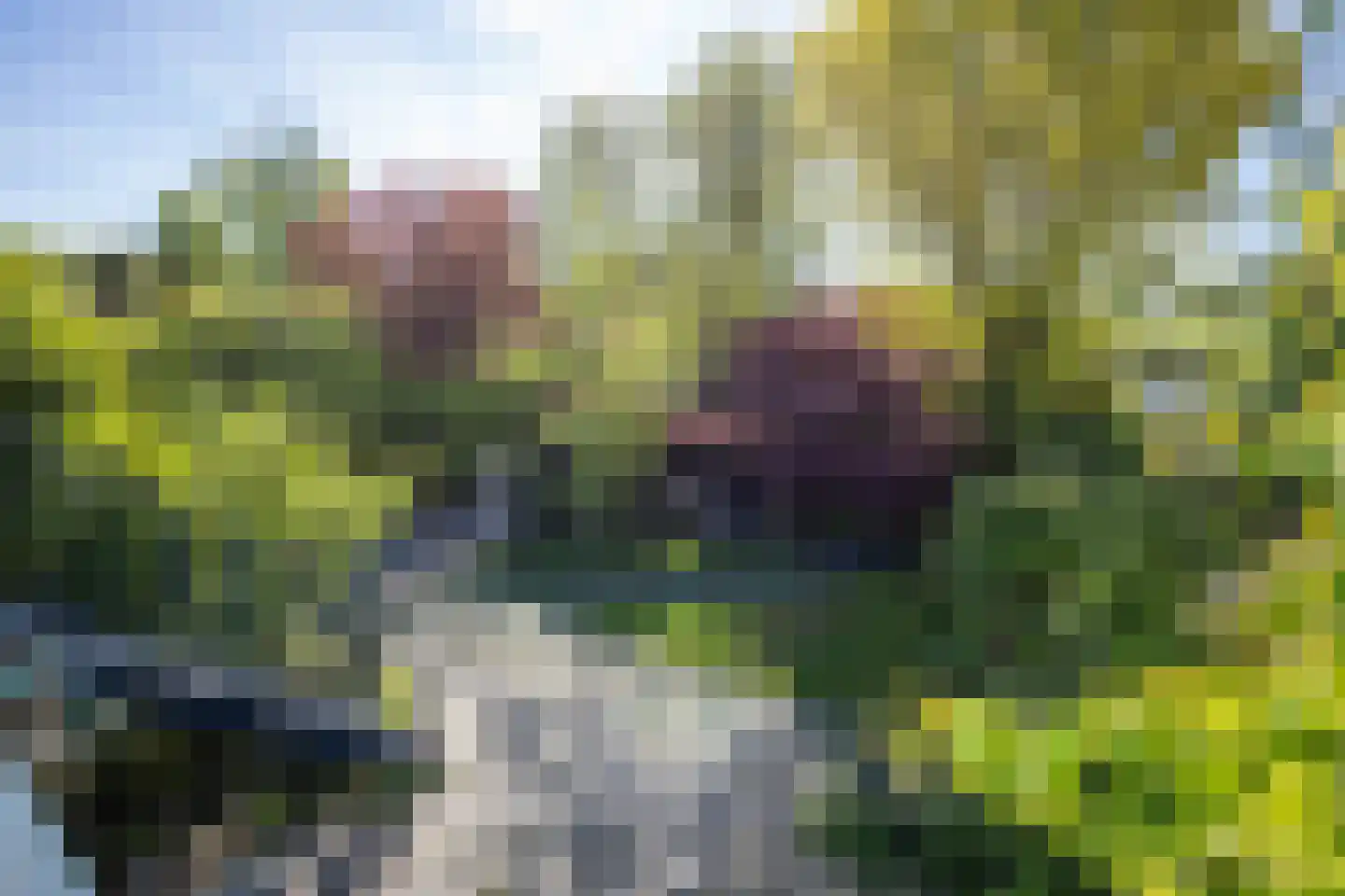 1e J.C. Mensinglaan 8 Aalsmeer thumbnail 31