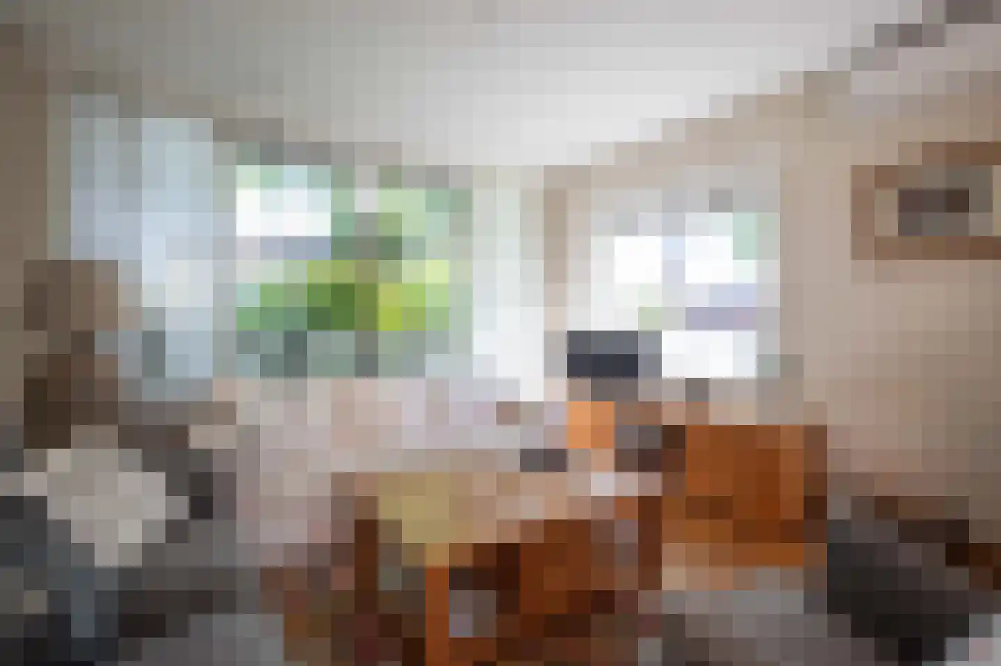 1e J.C. Mensinglaan 8 Aalsmeer thumbnail 6
