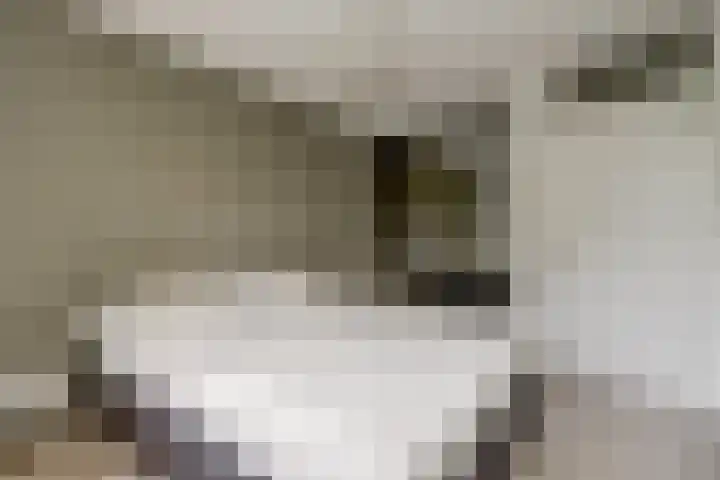 1e Jerichostraat 19 A Rotterdam thumbnail 11