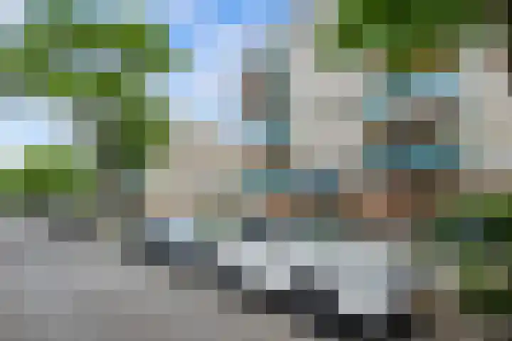 1e Jerichostraat 19 A Rotterdam thumbnail 22