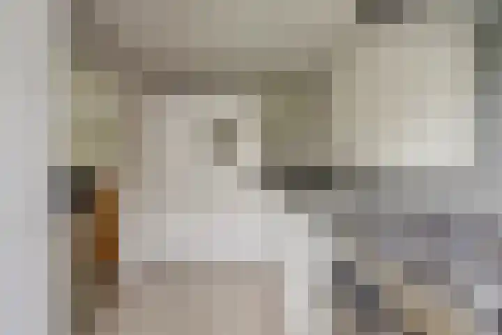 1e Jerichostraat 19 A Rotterdam thumbnail 8
