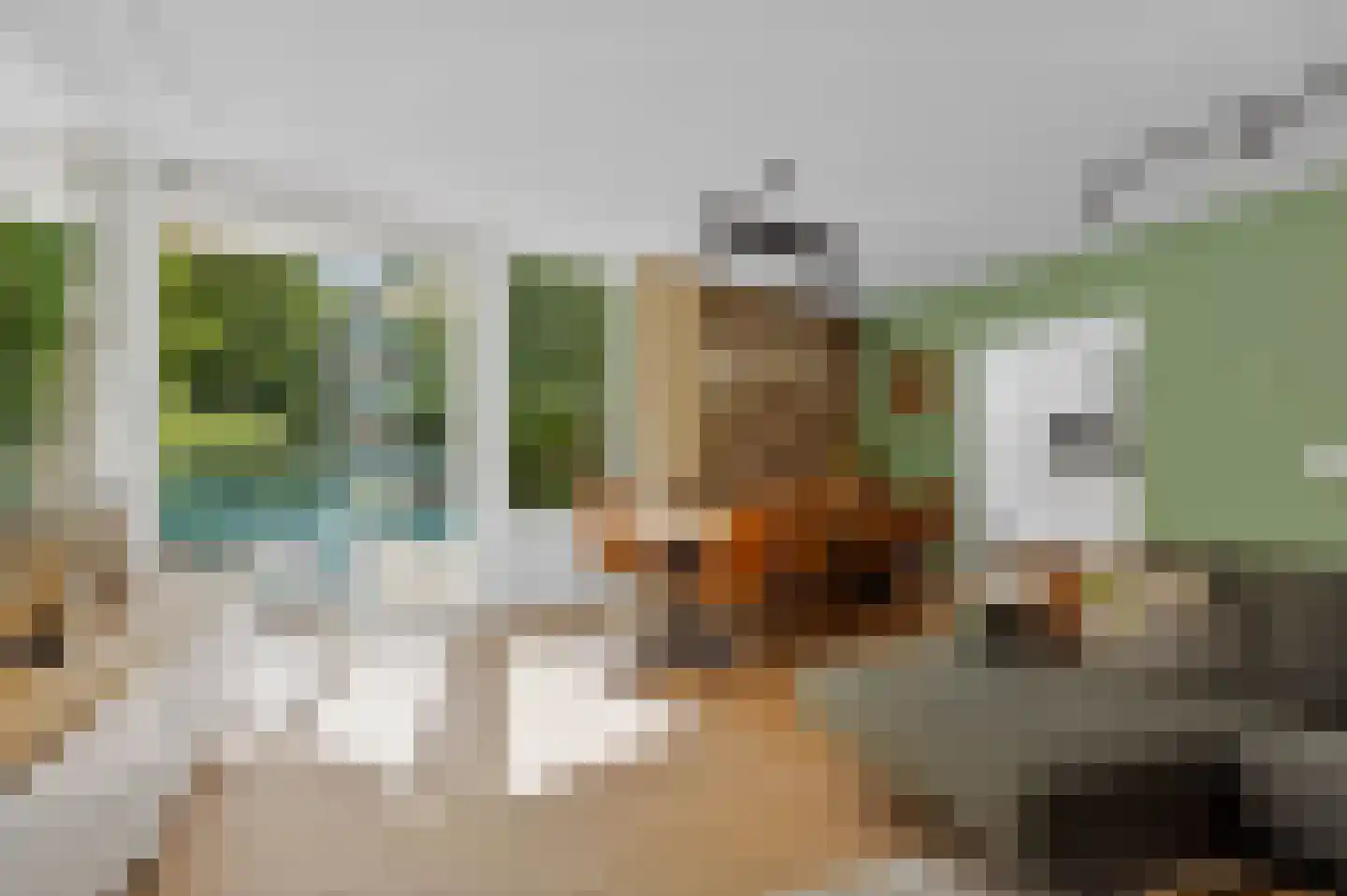 1e Jerichostraat 27 Rotterdam thumbnail 4