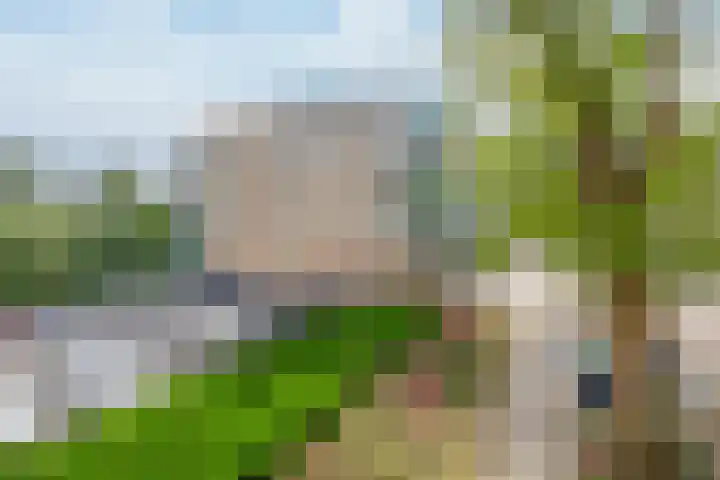 1e Jerichostraat 31 A Rotterdam thumbnail 33