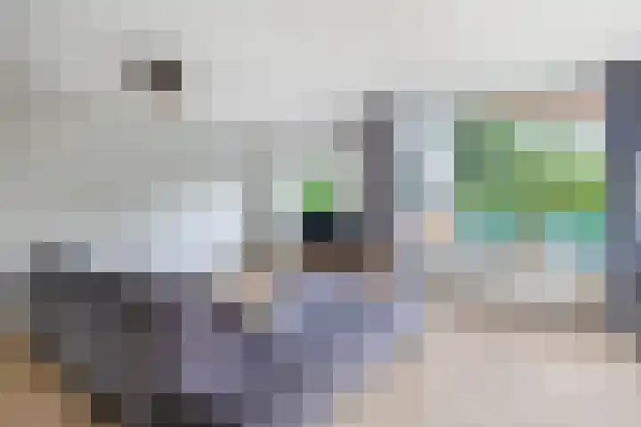 1e Jerichostraat 31 A Rotterdam thumbnail 6