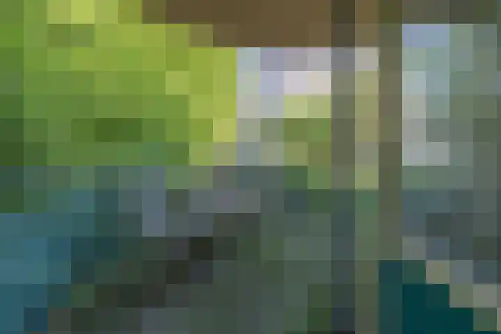 1e Jerichostraat 39 Rotterdam thumbnail 9