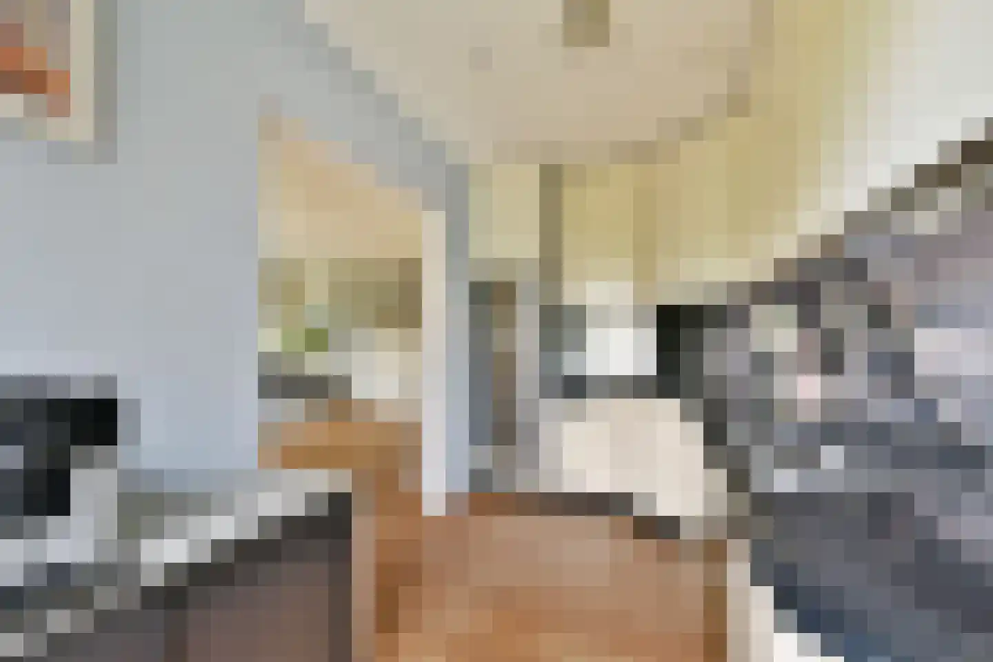 1e Jerichostraat 41 Rotterdam thumbnail 18