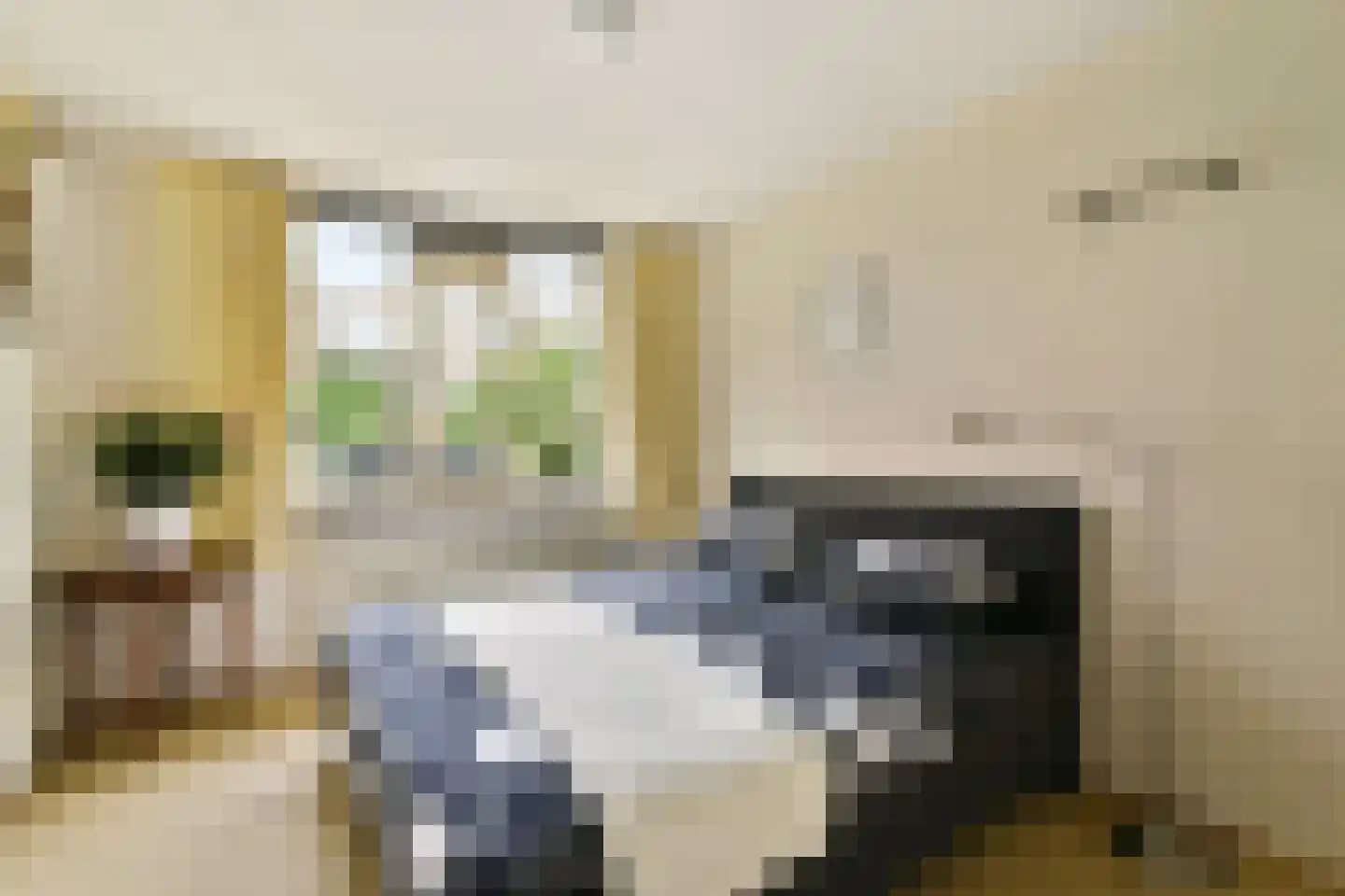 1e Jerichostraat 41 Rotterdam thumbnail 20