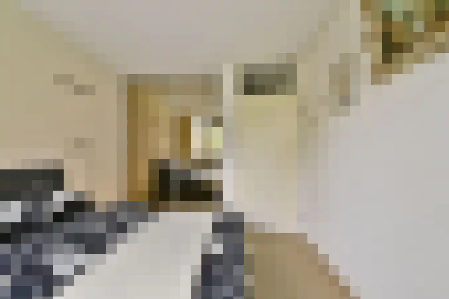 1e Jerichostraat 41 Rotterdam thumbnail 21