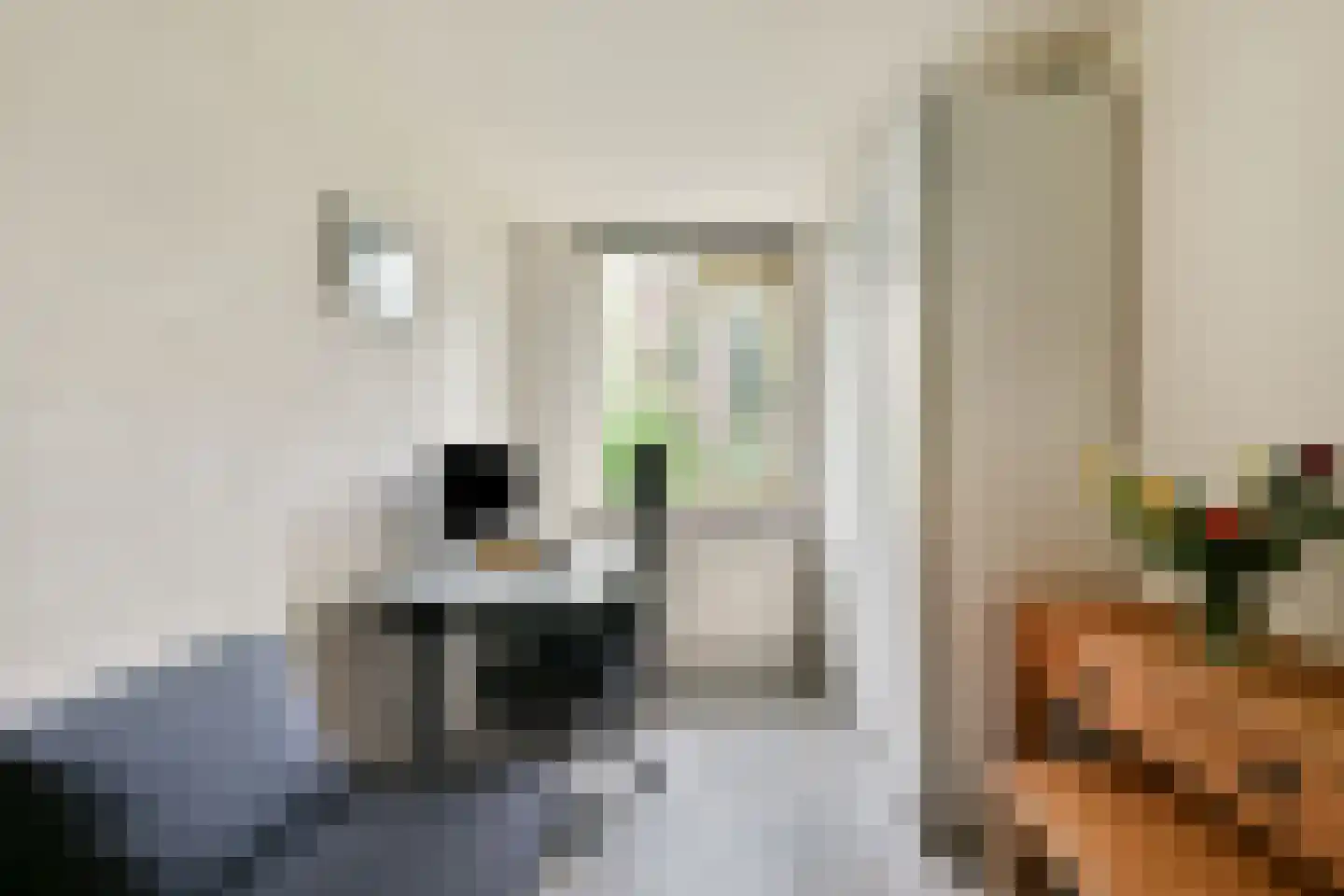 1e Jerichostraat 41 Rotterdam thumbnail 23