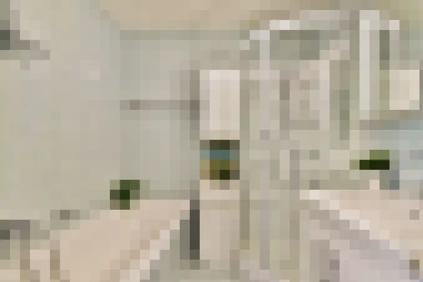 1e Jerichostraat 41 Rotterdam thumbnail 25