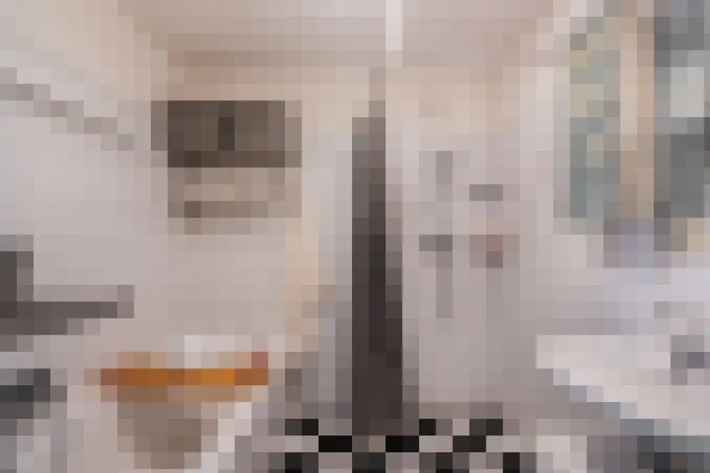 1e Jerichostraat 49 D Rotterdam thumbnail 13