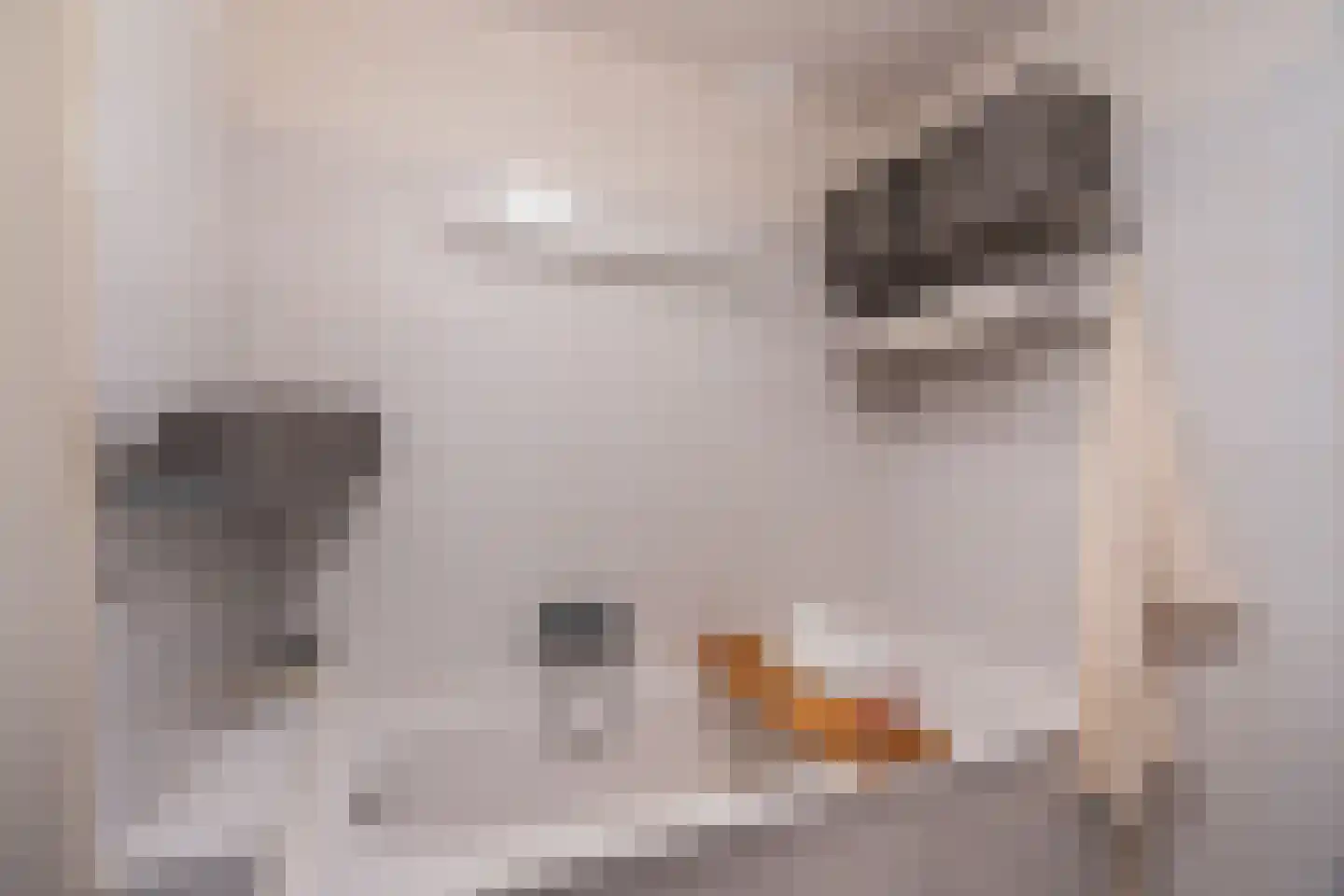1e Jerichostraat 49 D Rotterdam thumbnail 14