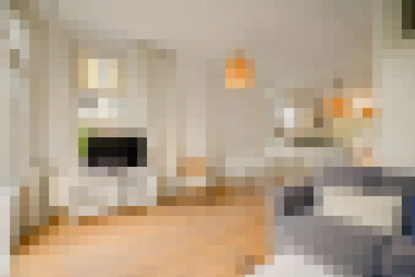 1e Jerichostraat 57 A Rotterdam thumbnail 12