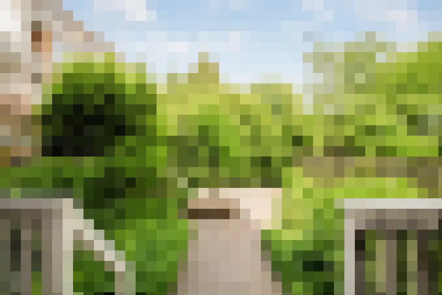 1e Jerichostraat 57 A Rotterdam thumbnail 16