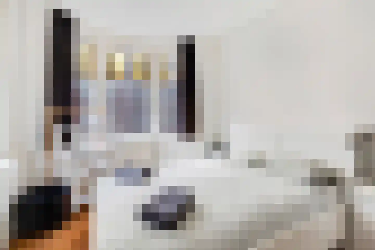 1e Jerichostraat 57 B Rotterdam thumbnail 20