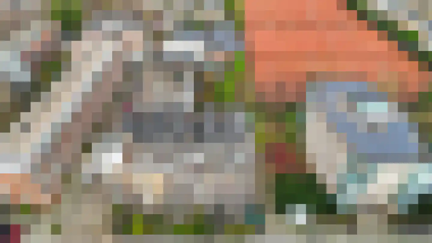 1e Jerichostraat 57 B Rotterdam thumbnail 34