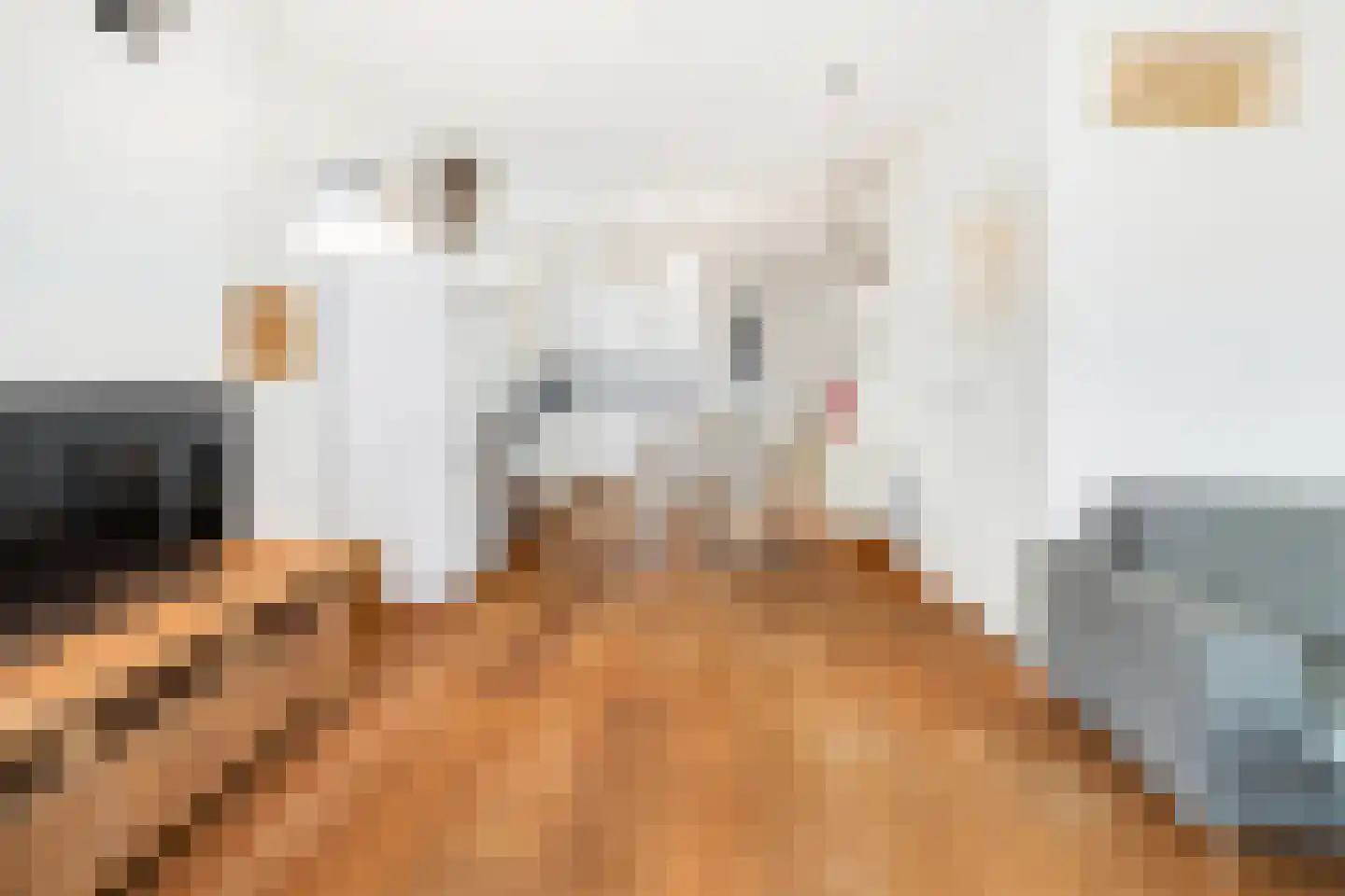 1e Jerichostraat 57 B Rotterdam thumbnail 7
