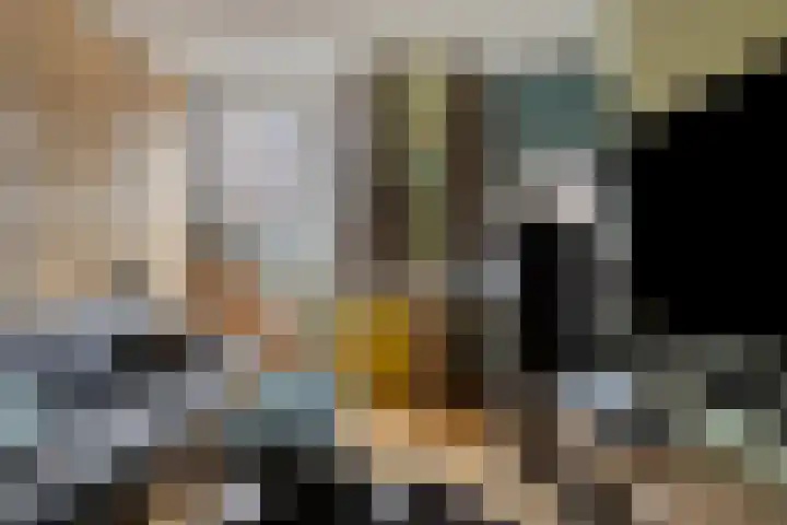 1e Jerichostraat 61 A Rotterdam thumbnail 24