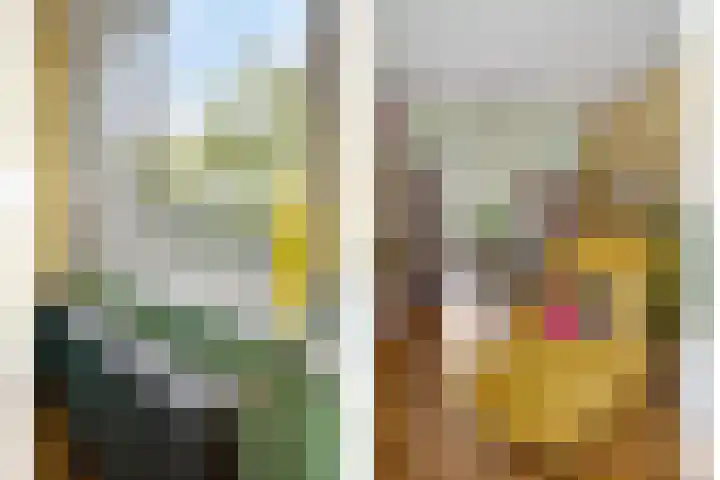1e Jerichostraat 61 A Rotterdam thumbnail 9