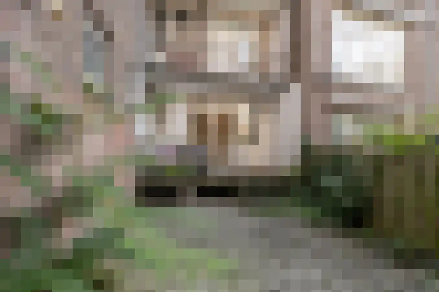1e Jerichostraat 64 A Rotterdam thumbnail 23