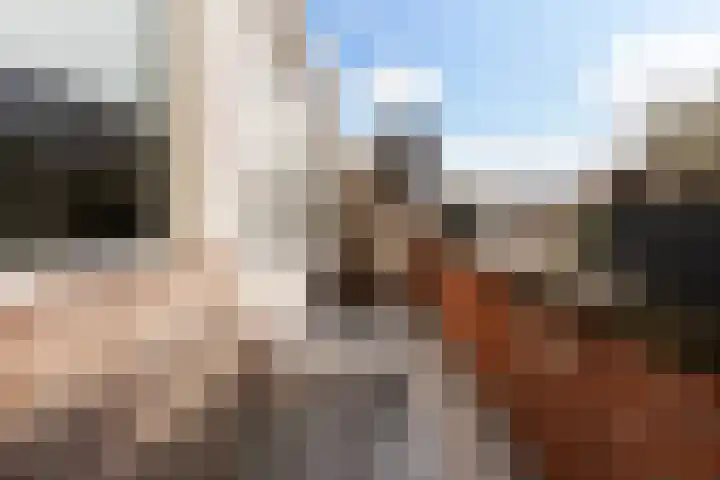 1e Jerichostraat 80 A Rotterdam thumbnail 16