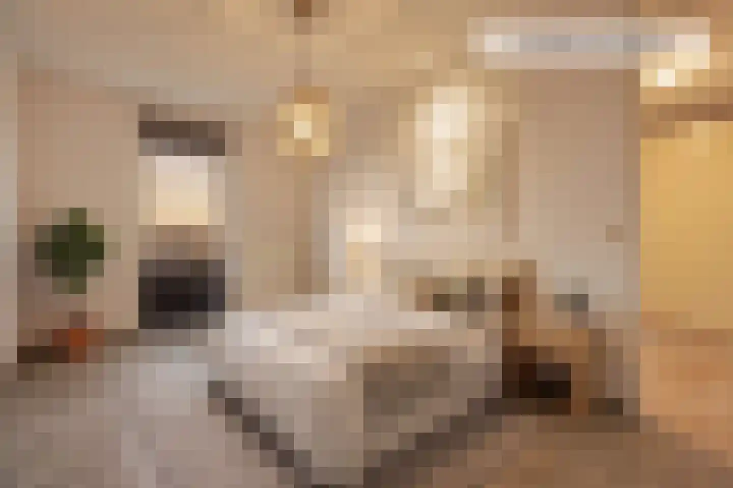 1e Kekerstraat 69 Amsterdam thumbnail 19