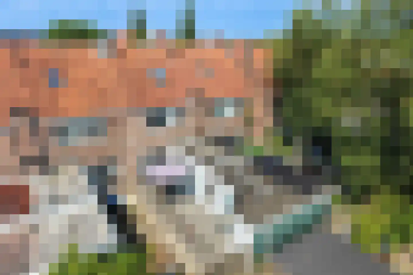 1e Koestraat 10 Leeuwarden thumbnail 34