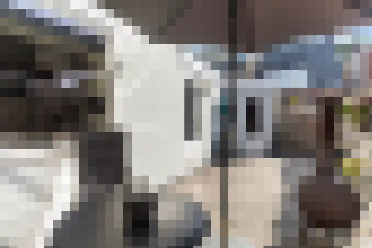 1e Koestraat 10 Leeuwarden thumbnail 6