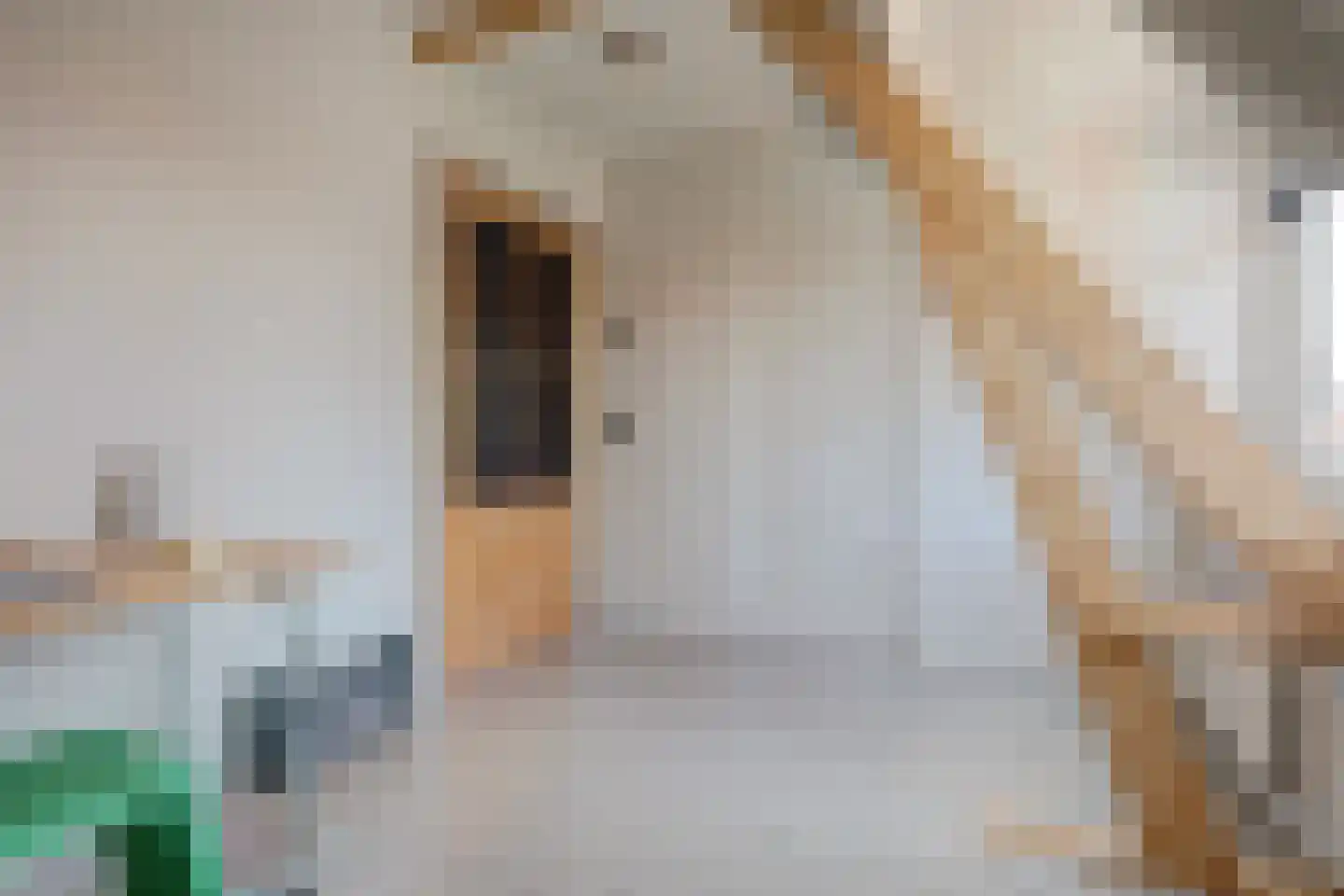1e Kruisstraat 2 Deventer thumbnail 44