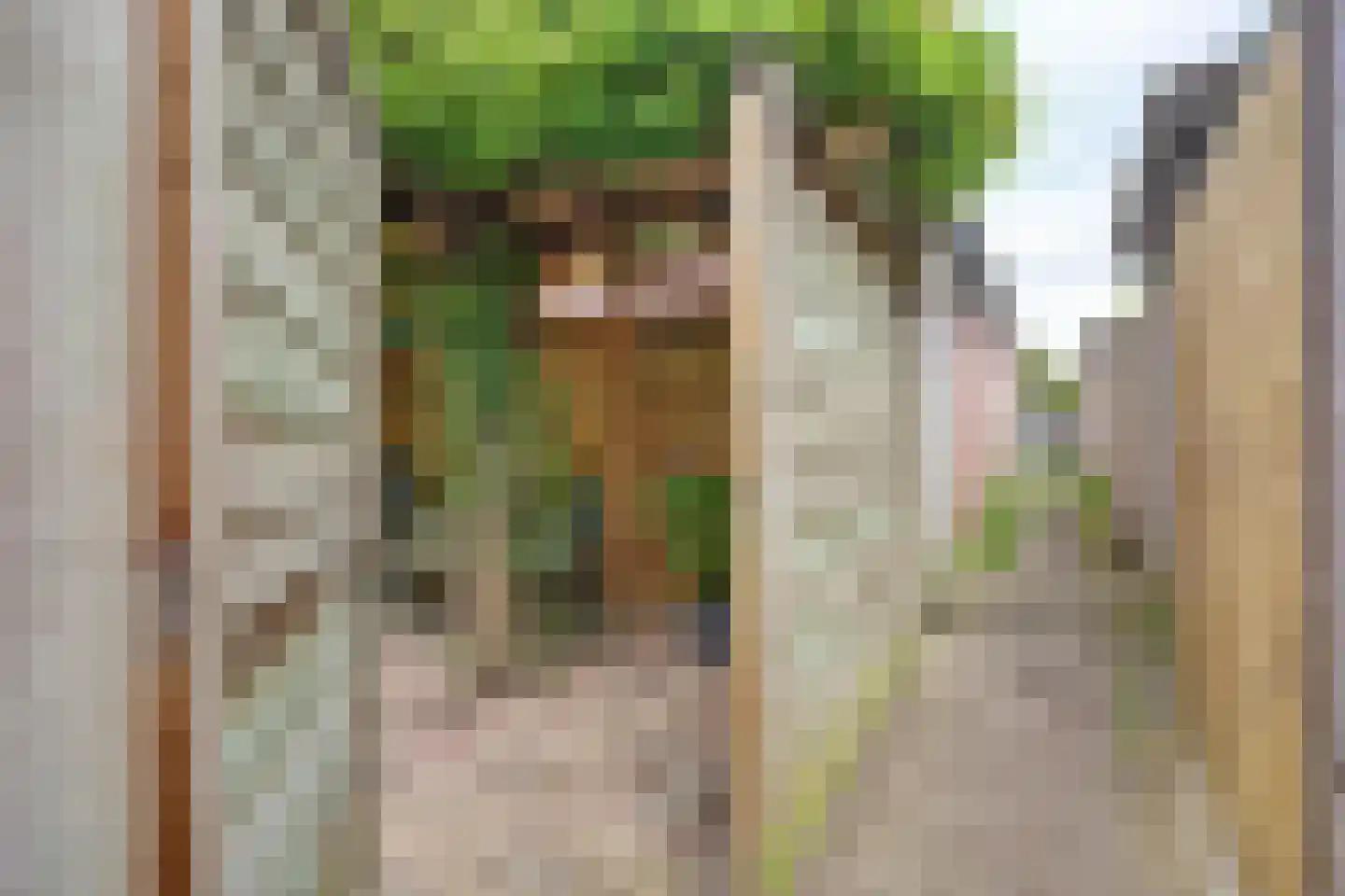 1e Kruisstraat 2 Deventer thumbnail 54