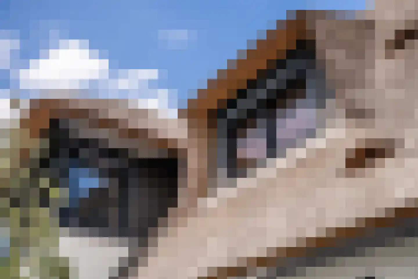 1e Kruisweg 17 B Oud-Beijerland thumbnail 37