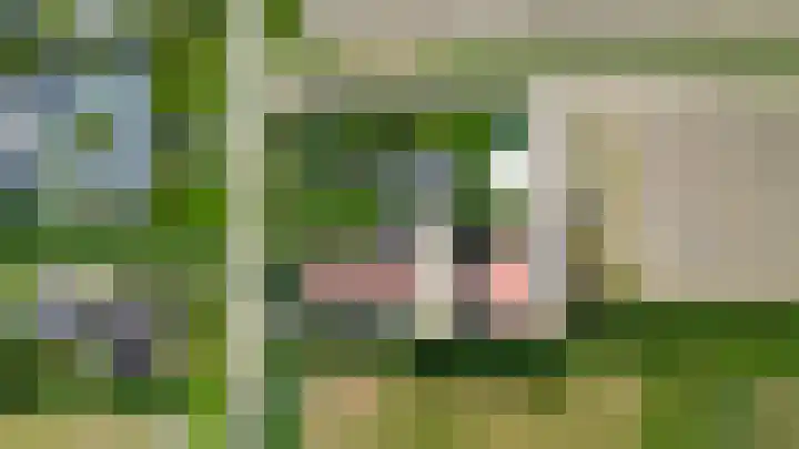 1e Kruisweg 28 Oud-Beijerland thumbnail 5