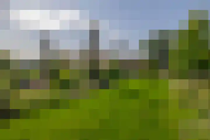 1e Kruisweg 28 Oud-Beijerland thumbnail 59