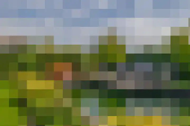 1e Kruisweg 28 Oud-Beijerland thumbnail 62